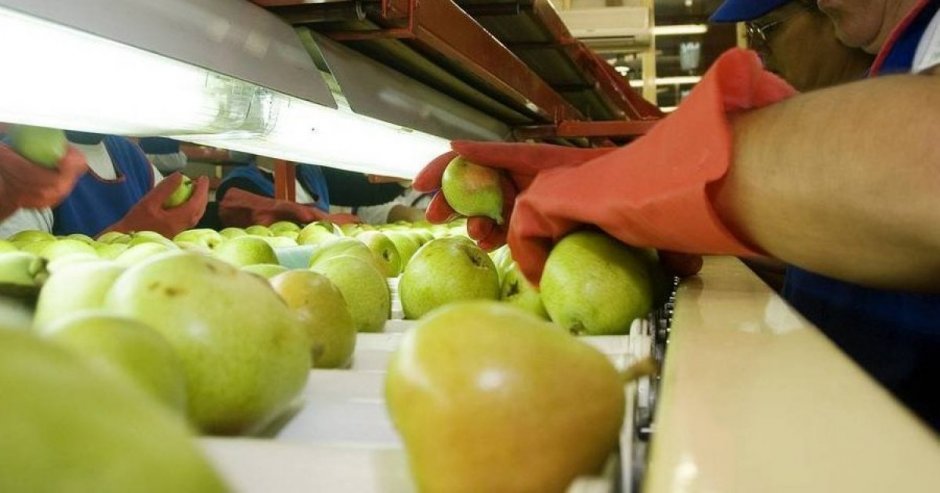 Las empresas estarían siendo fiscalizadas en el cumplimiento de medidas preventivas (Foto: Contexto)